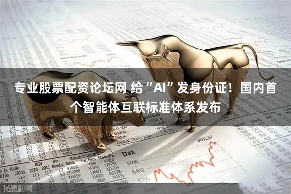 专业股票配资论坛网 给“AI”发身份证！国内首个智能体互联标准体系发布